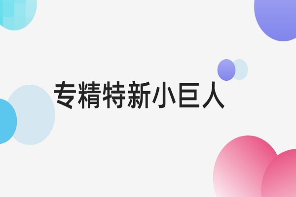 專精特新小巨人認(rèn)定標(biāo)準(zhǔn)是什么，專精特新小巨人申報條件
