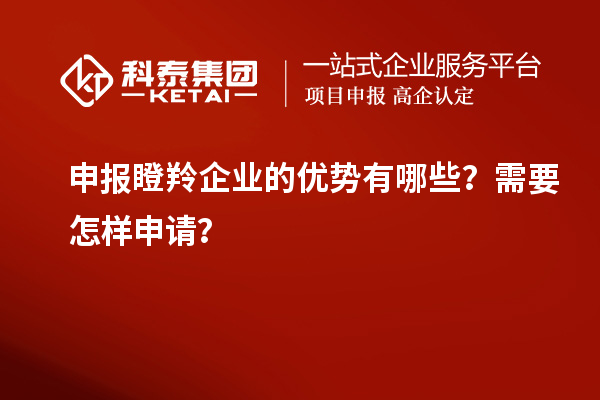 申報(bào)瞪羚企業(yè)的優(yōu)勢有哪些？需要怎樣申請？