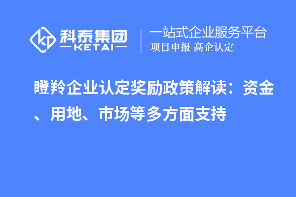 瞪羚企業(yè)認(rèn)定獎(jiǎng)勵(lì)政策解讀：資金、用地、市場等多方面支持