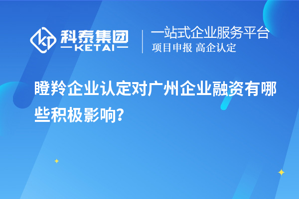 瞪羚企業(yè)認(rèn)定對(duì)廣州企業(yè)融資有哪些積極影響？