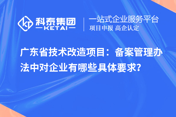 廣東省技術(shù)改造項(xiàng)目：備案管理辦法中對(duì)企業(yè)有哪些具體要求？