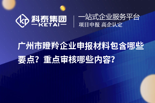 廣州市瞪羚企業(yè)申報(bào)材料包含哪些要點(diǎn)？重點(diǎn)審核哪些內(nèi)容？